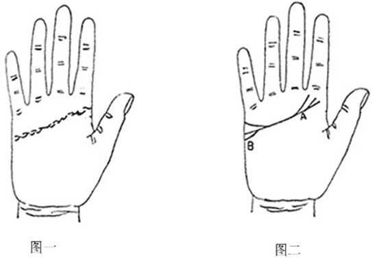 智慧线和感情线：它们才是决定人生走向的关键
