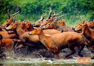 午夜时分，怪事发生了——我家后院闹鬼了？！