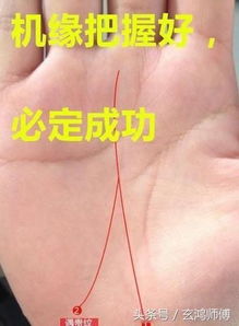 2.2 末端分叉的事业线：多才多艺还是摇摆不定？