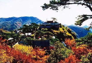 独家揭秘：2026年最坑爹旅游路线