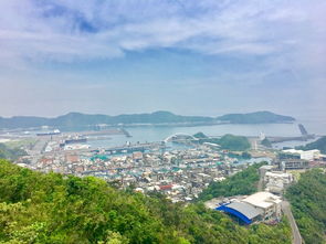 07:30的疯狂：从台北出发的混乱与期待