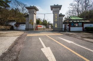 交通噩梦：电瓶车惊魂