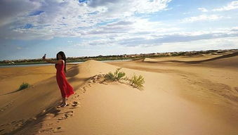 2026年沙漠生存指南：腾格里教你做人