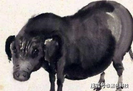 第二名：属猪女（别嫌弃！当前这个排名绝对实至名归）