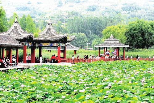 ① 桃源山居（国家AAAA级旅游景区）——乱入指南