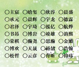 测试方法揭秘