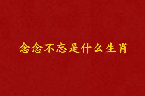 念念不忘的生肖，念念不忘打一精准生肖，指的是什么生肖？
