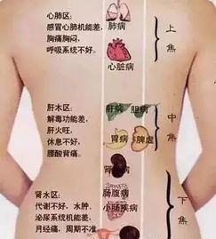 四种经典艾灸方式详解