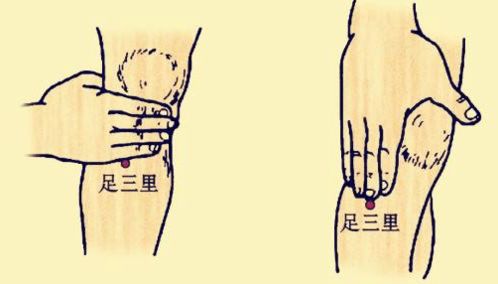 天年方未及是哪生肖？瘦骨伶仃代表哪个生肖？