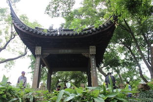 沧浪亭 & 网师园 & 留园 & 拙政园 & 苏州博物馆