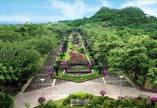 上午：在假山流水中迷路