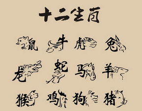 如何化解八字中辰卯相害，将辰卯寅改写为长尾？
