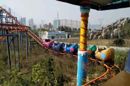 崭新址在哪里？