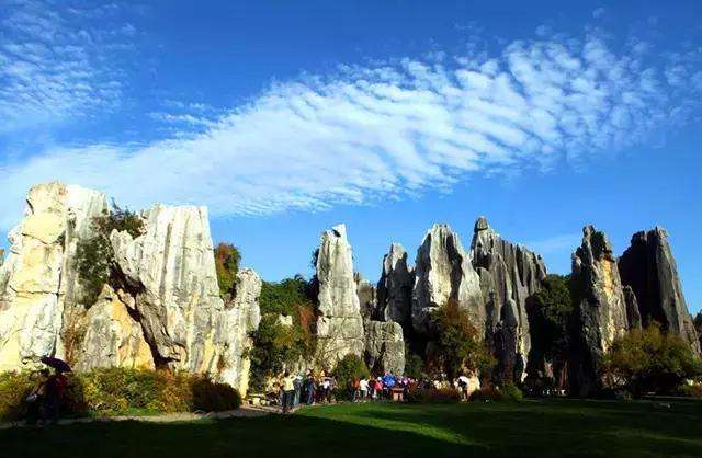 Day3：石林？石头开会！