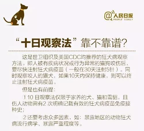 纯阳八字的人有多可怕？