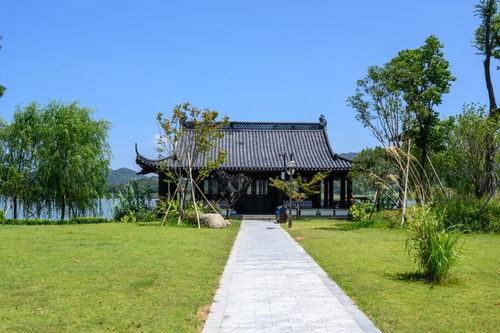 三、 皂李湖（免费）——水面像镜子却不敢照脸 😅