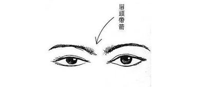 一、 面相学基础：解读“面”的奥秘