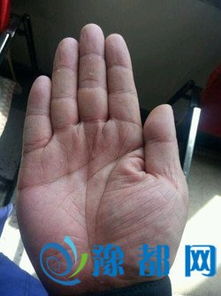 有通天手纹的女命预示着什么？拥有通天纹的手相是否意味着以后都会很有钱？