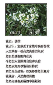 - 一月的故事 -