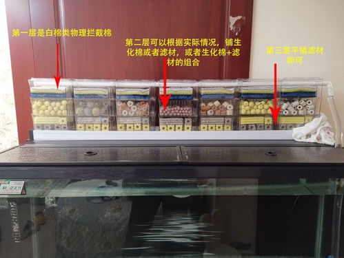 底滤鱼缸如何摆放滤材,底滤鱼缸如何摆放滤材