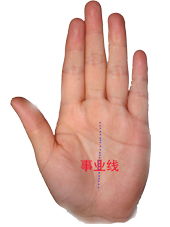 手相大揭秘！三叉事业线=人生开盲盒？2026年职场暴富指南