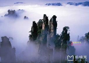 第二天：袁家界与杨家界——探寻《阿凡达》的灵感之源（还有那些拥挤的人群）