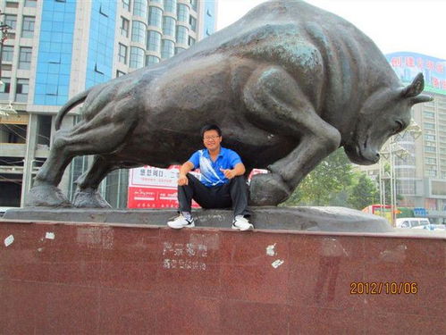 周口铁牛：一座镇水神兽的传奇之旅