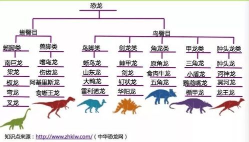 四、 不同性别取名策略：男童女童命名差异化