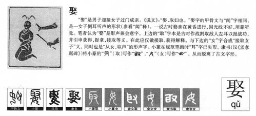 1. 杨字：源远流较长的象征
