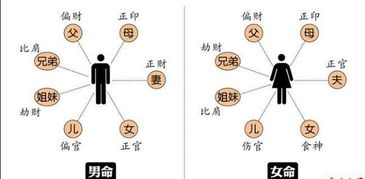 八字中十神财究竟具体代表了哪些财富和物质方面的含义？
