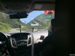 请问提车看交易日子，看车订车提车具体是哪一天呢？