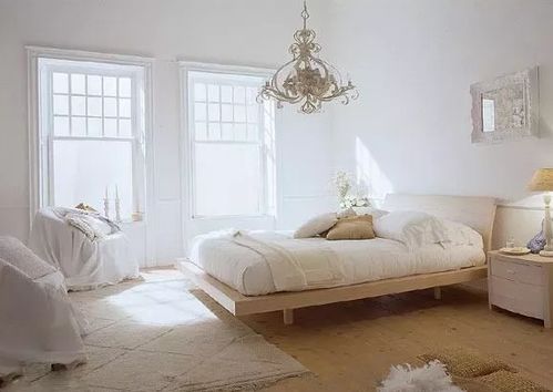 地毯， 看着舒服其实是个坑