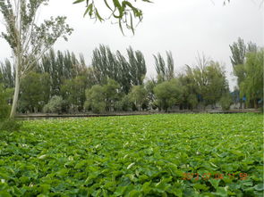 景点篇：买家秀与卖家秀的史诗级差距