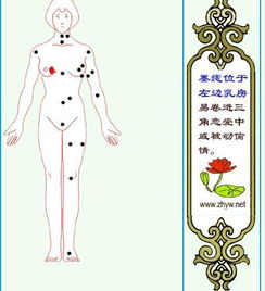 三、 胸部与肩膀：气场决定命运