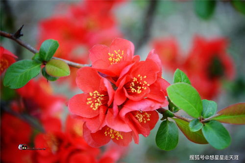 隐藏玩法和必点美食
