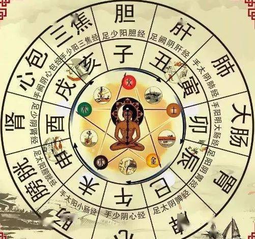 数字八字生肖之间是如何对应其五行关系的？