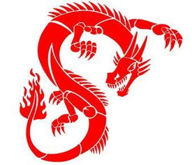 属龙人八字终身运程分析解读究竟准确度有多高？