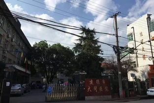 情感炸裂——老奶奶的泪水