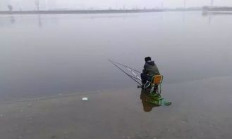 我在梦中为何会发现自己正站在水塘边捞鱼呢？