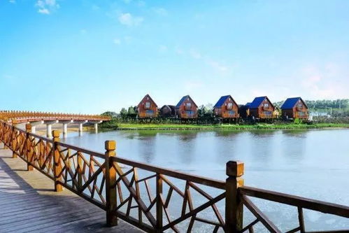 初见南阳阳光海岸：从盐碱地到网红打卡地