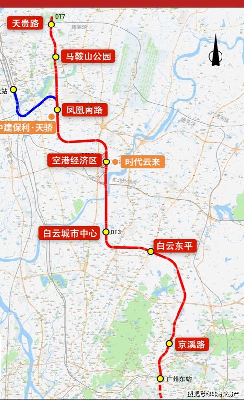 细小月河的“早课”：6:30 的晨跑路线与青蛙合唱团