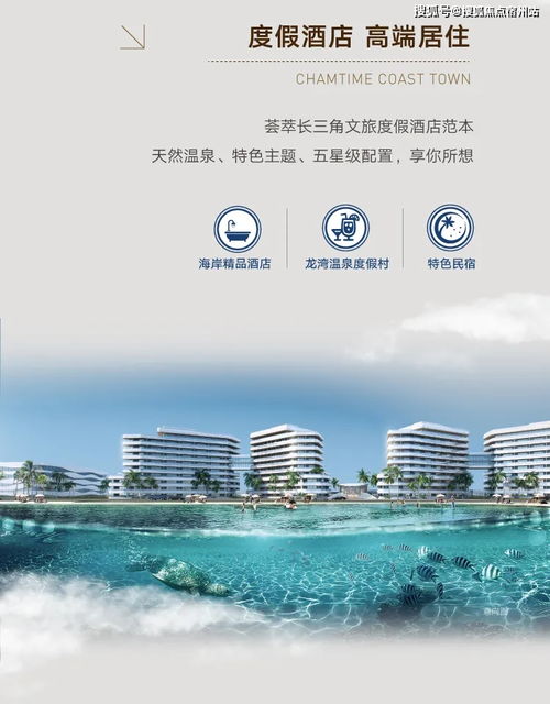 血泪警告！90%的人都在被当韭菜割