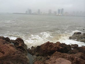 999元游青岛？先堪堪你被卖给了哪个购物店