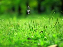 2. 紫白九星飞来飞去堪得人眼晕
