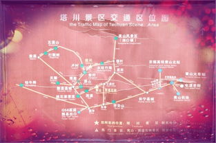 寻觅靠谱旅行社：一场令人头疼的“相亲”