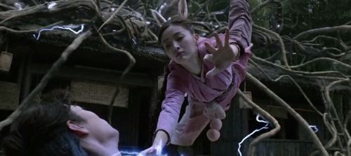 生肖与恐怖的混沌映射