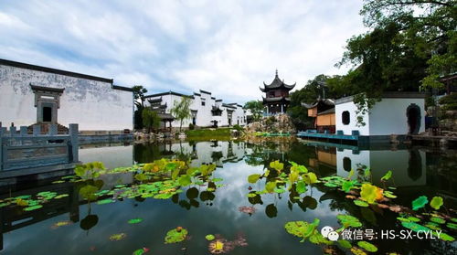 >>>电子票の100种死法