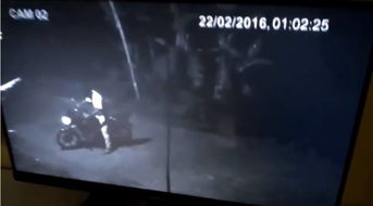 属鼠的朋友：子时当令的你是不是太敏感了？