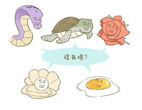 心里那点小九九