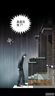 混沌中的星座与生肖交叉图谱（乱）